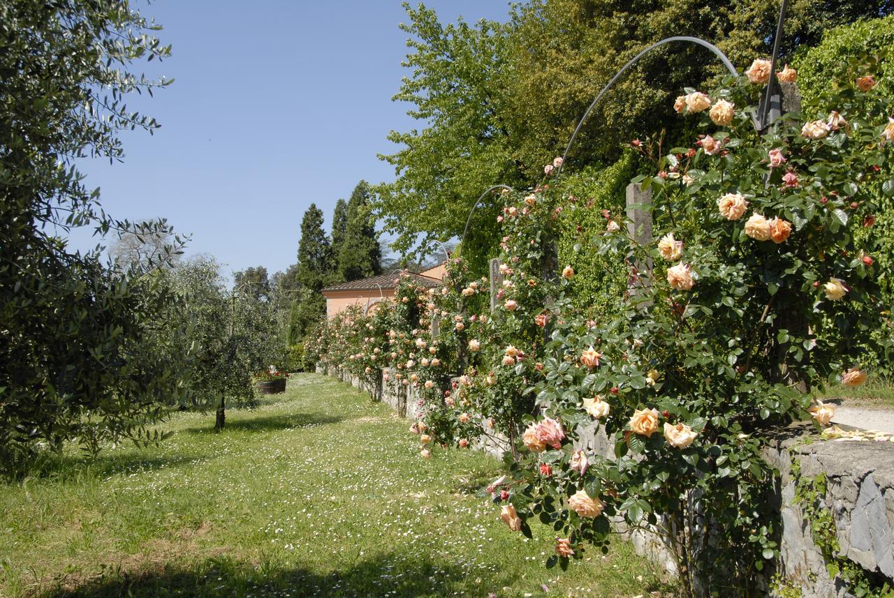 La Chiusa di Nanni Piaggiori Esterno foto